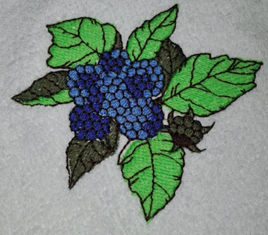 Fleurs bleue